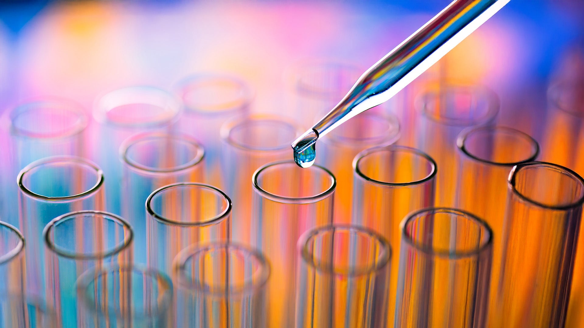 Graduate Certificate in Diabetes Studies