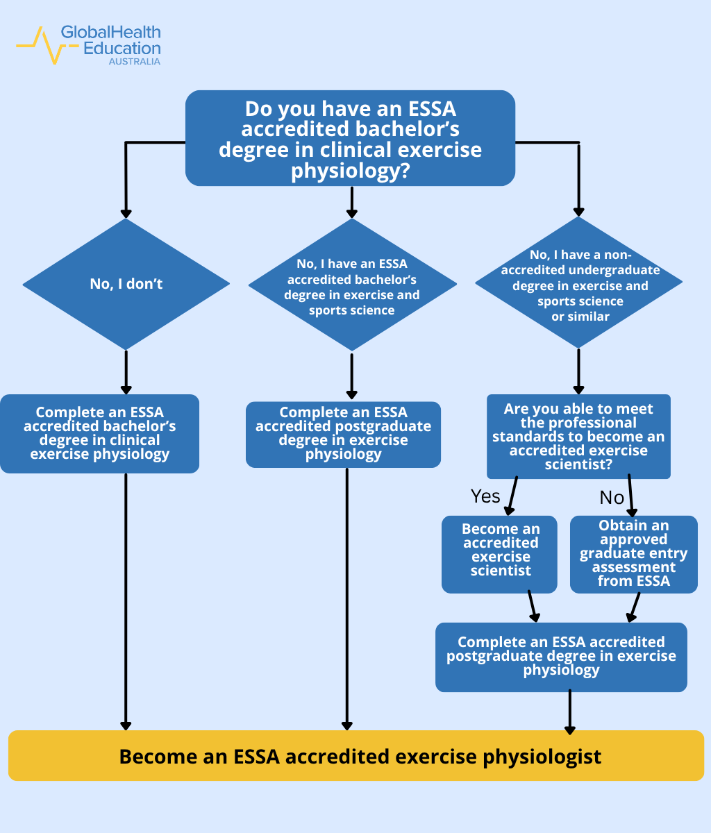 How to Become an Exercise Physiologist