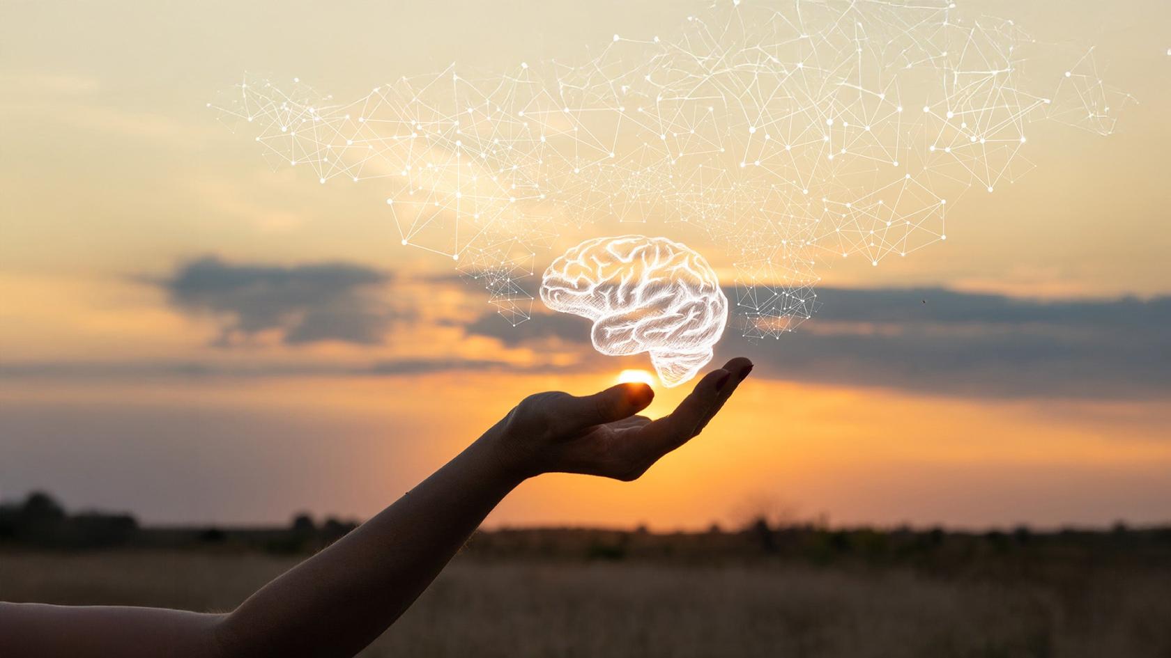 Master of Mental Health Nursing