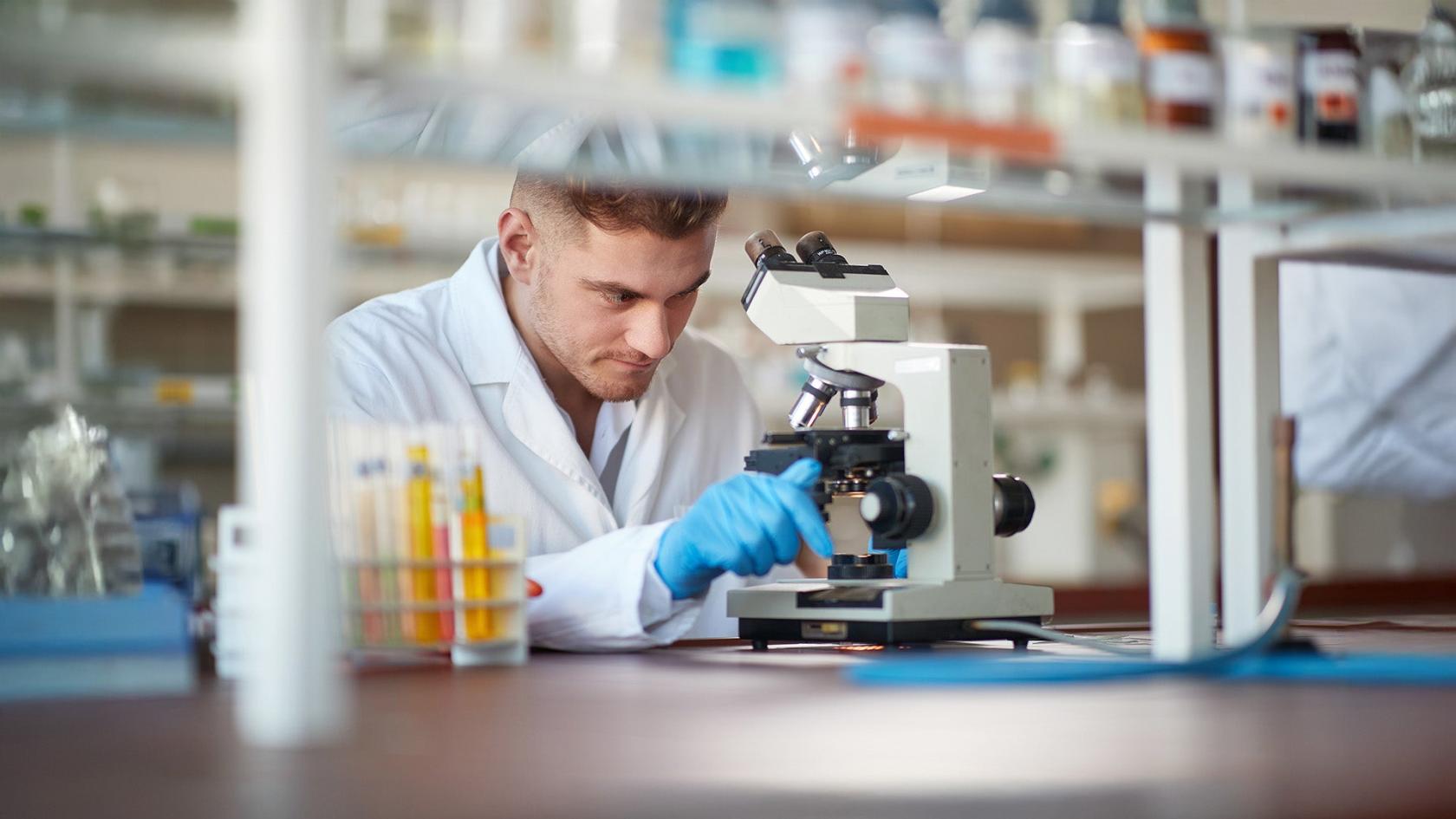 Graduate Certificate in Alcohol and Drug Studies