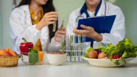 UOC Master of Nutrition and Dietetics